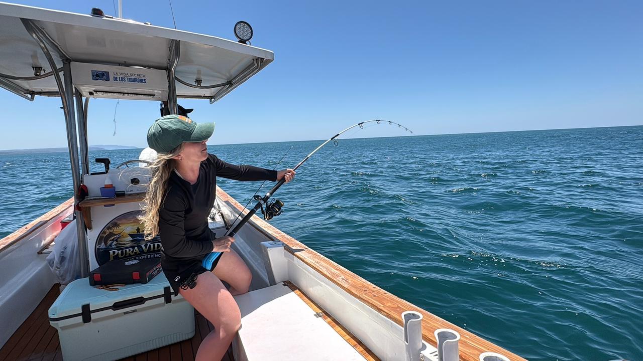 Pesca Evasión